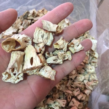 羊肚菌菌柄菌脚菌棒20斤包邮