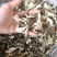 鹿茸菇鹿茸菌100斤包邮