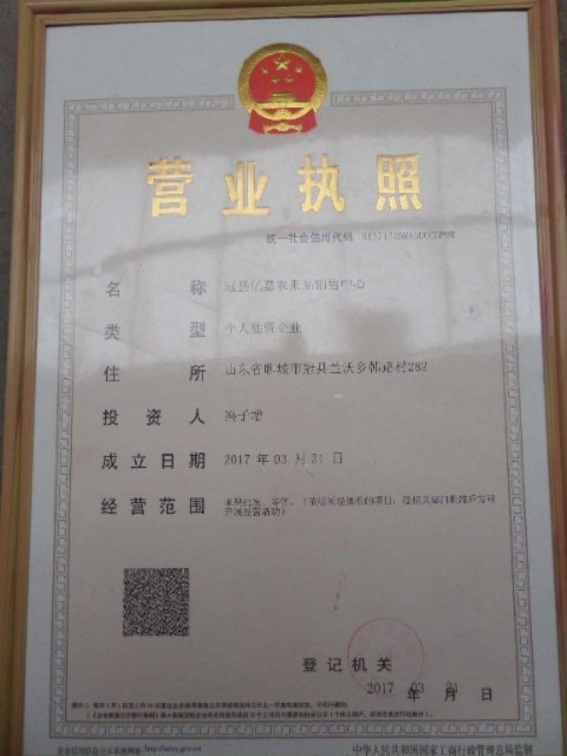 正宗冠县沙土地★丰水梨✔产地即将上市采摘✔欢迎来产地考察