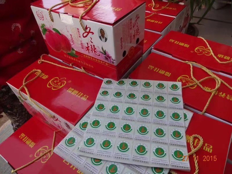 冬桃