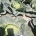 【四季】春夏秋种耐热耐抽苔甘蓝种子叶色深绿不炸球安全稳定