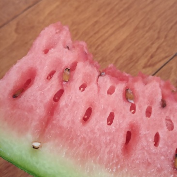 百亩大西瓜