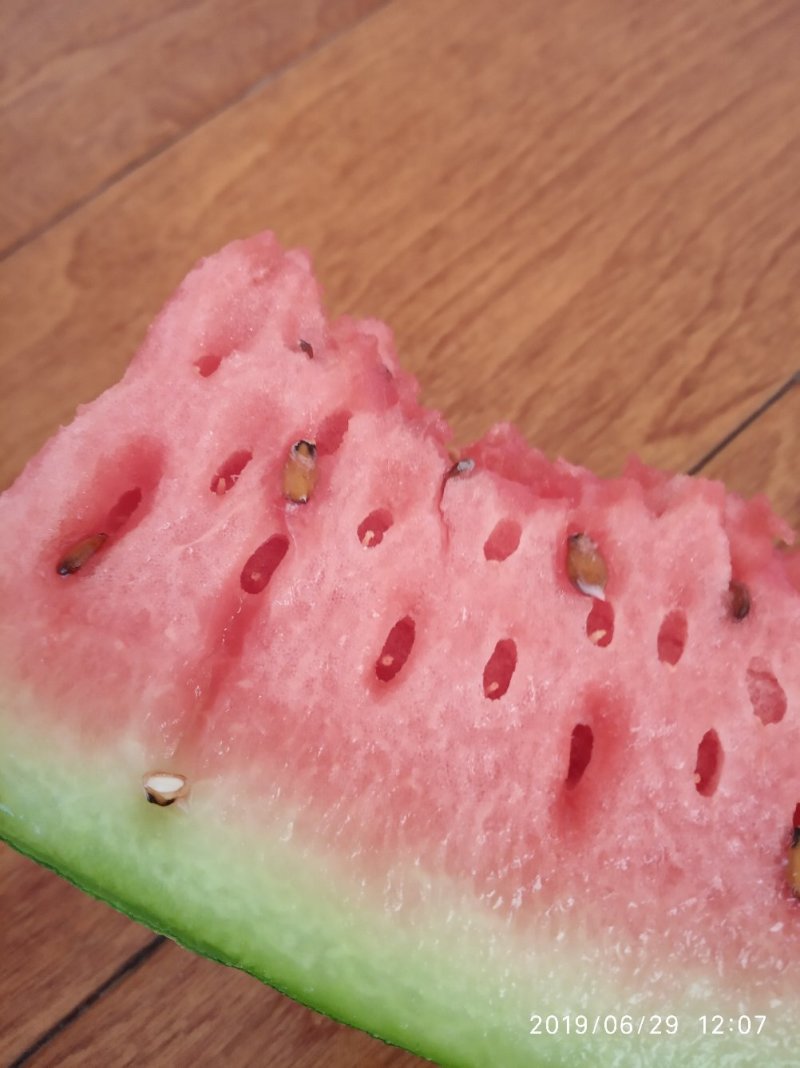 百亩大西瓜