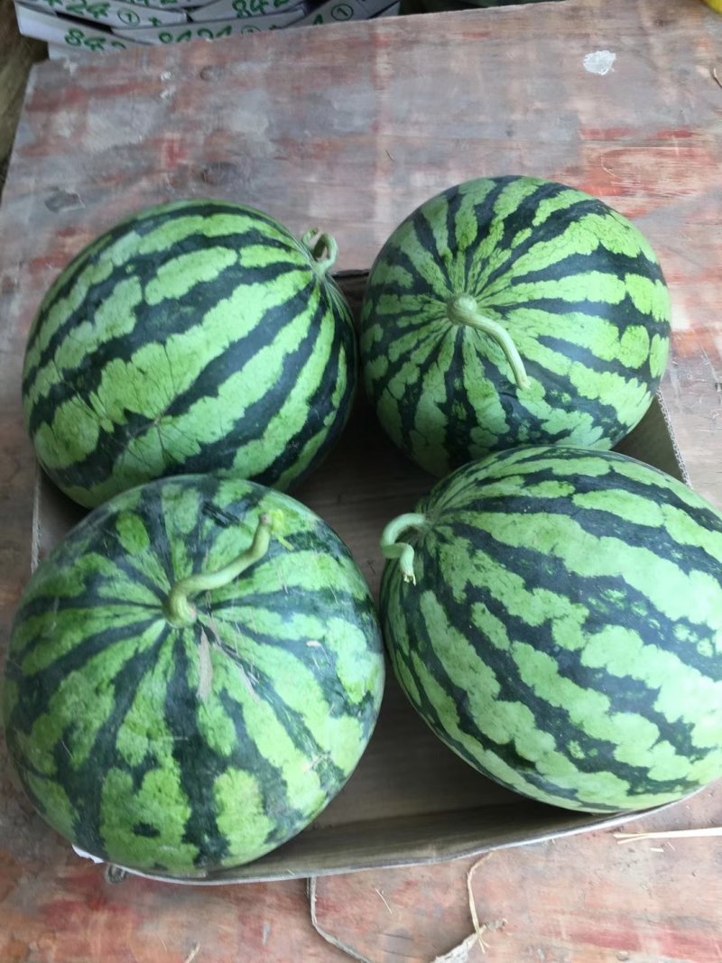 精品美都大量上市