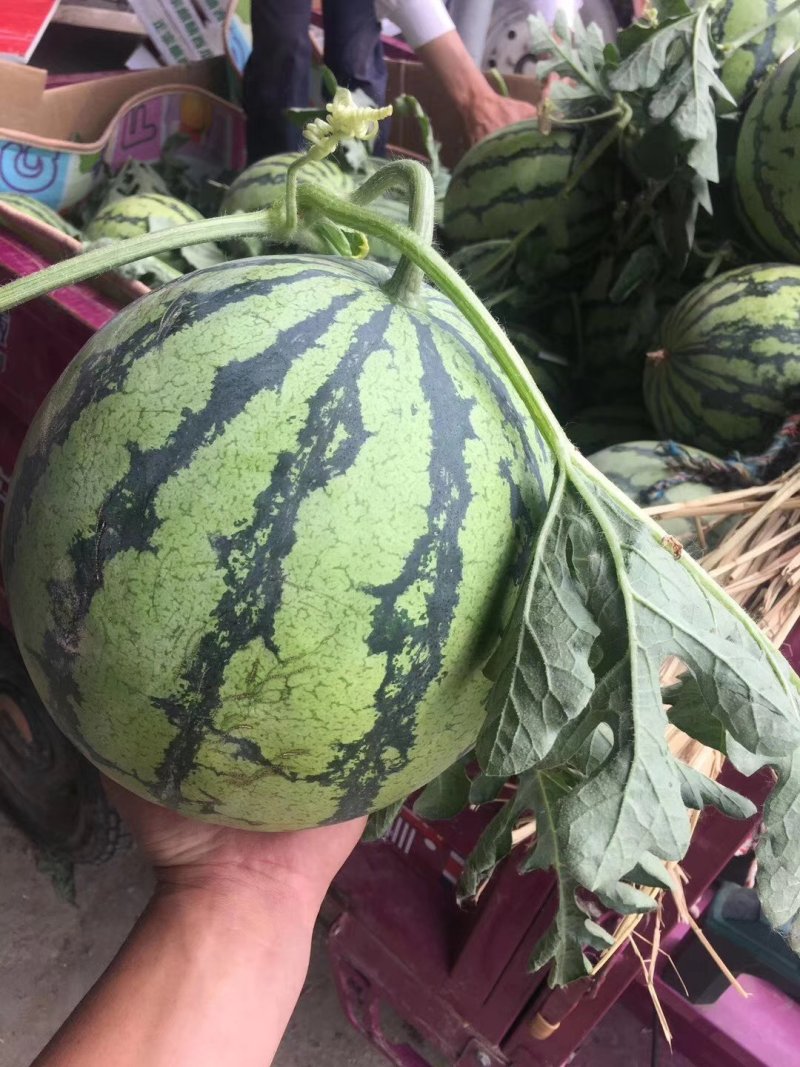 精品美都大量上市
