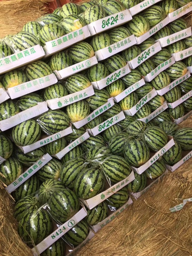 精品美都大量上市