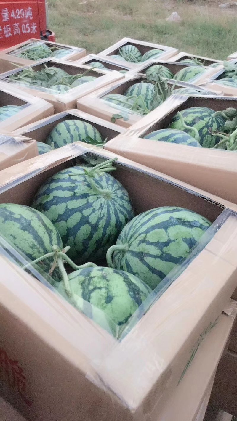 精品美都大量上市