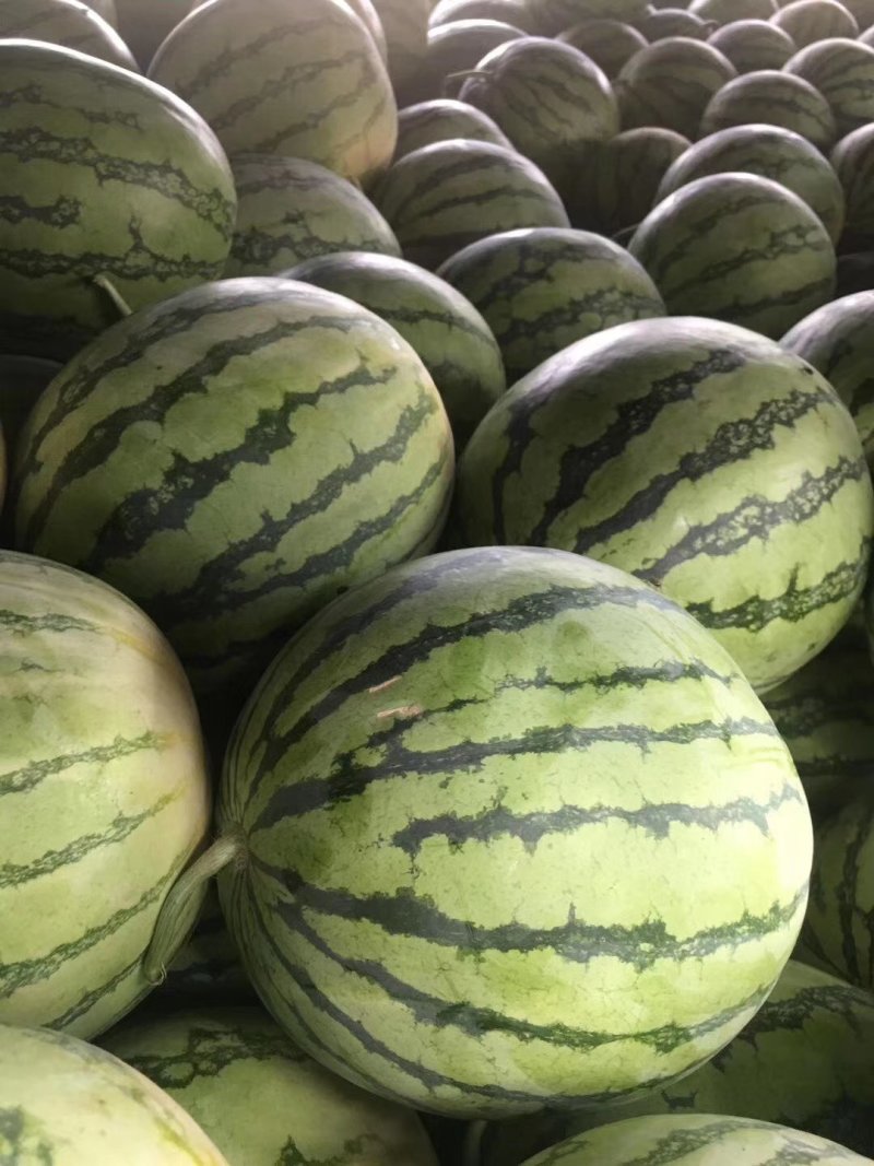 精品美都大量上市