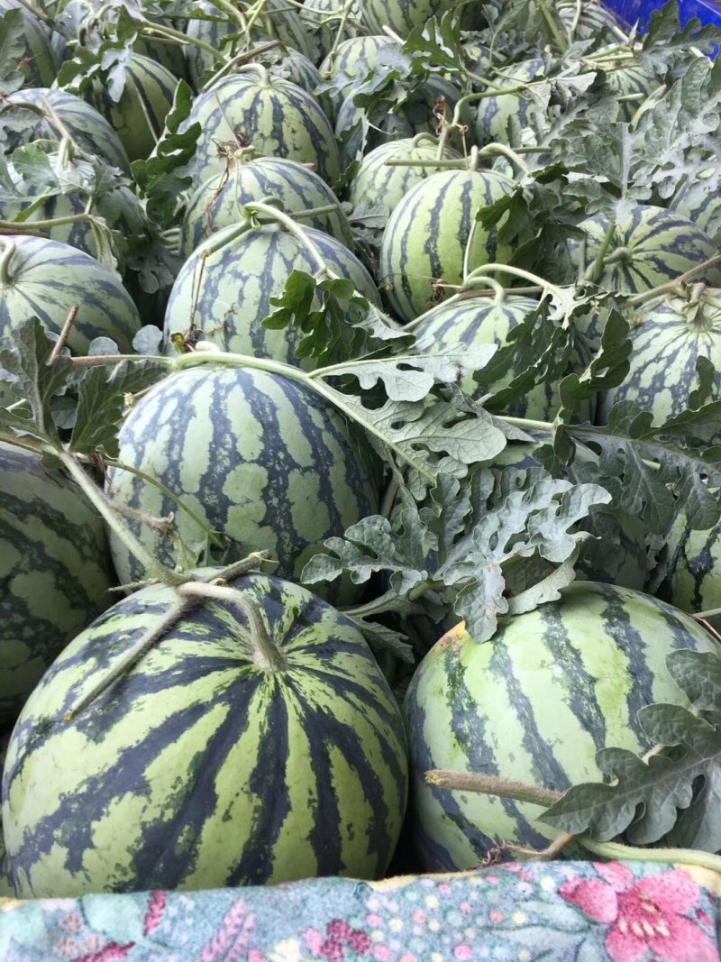 精品美都大量上市