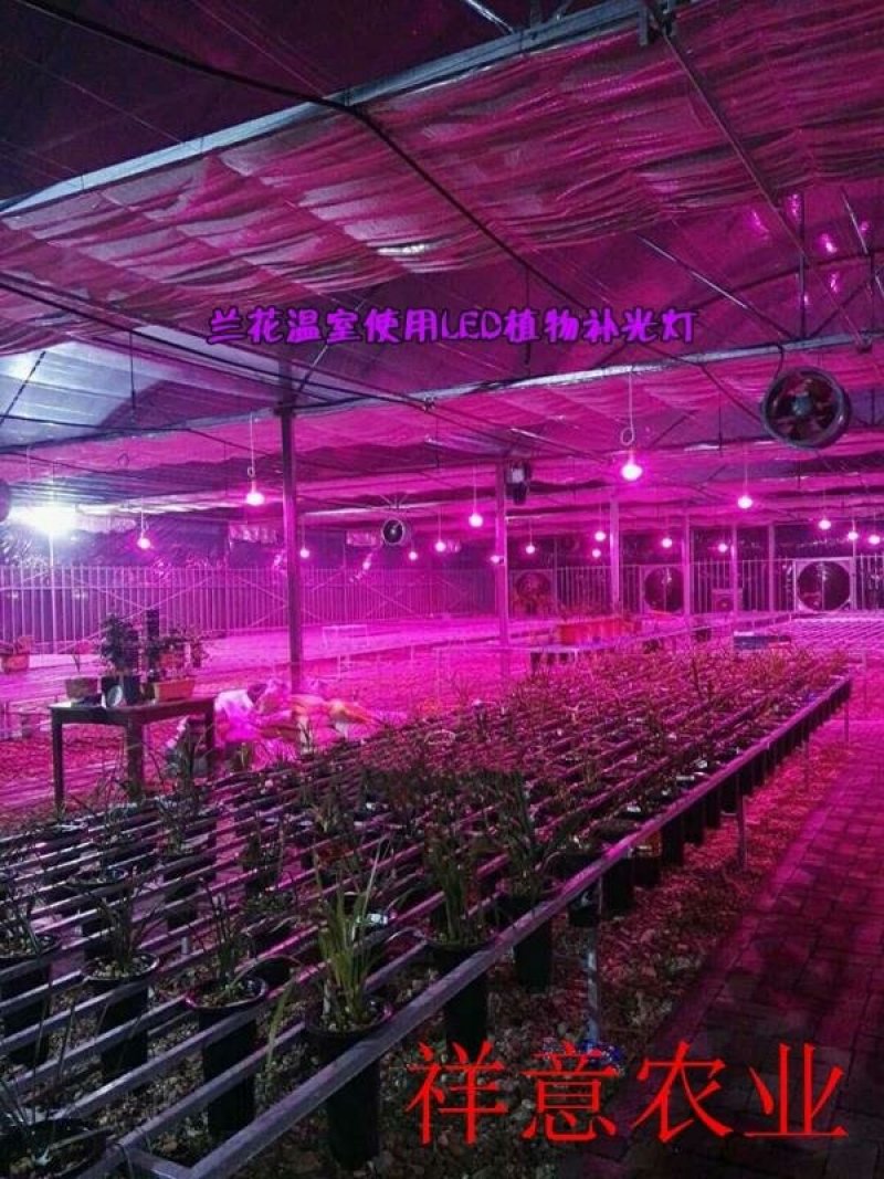 【有好货】LED植物补光灯温室补光设备，生长灯大棚补光灯