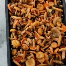 野生菌