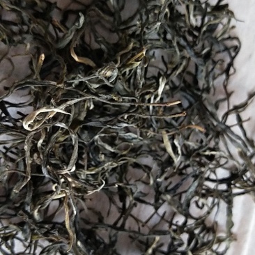 古树茶，乔木茶。