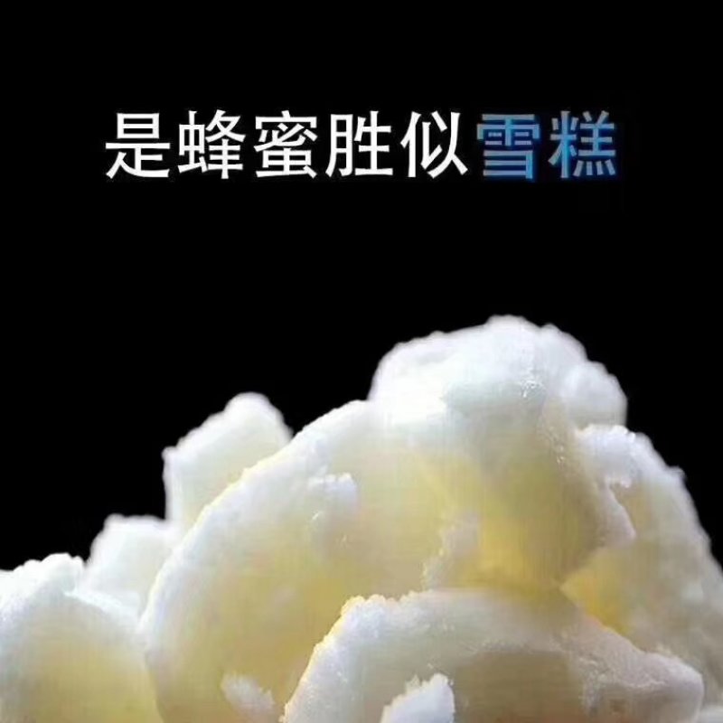 【包邮】椴树蜜雪蜜480克福裕和蜂蜜吉林长白山