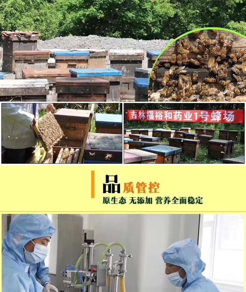 【包邮】椴树蜜雪蜜480克福裕和蜂蜜吉林长白山