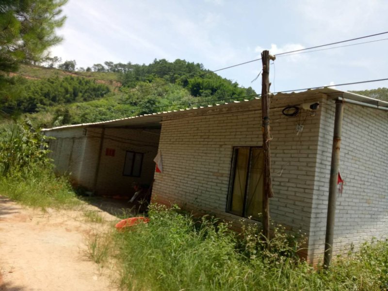 8亩鱼塘旺地年租1.2万还有11年招租