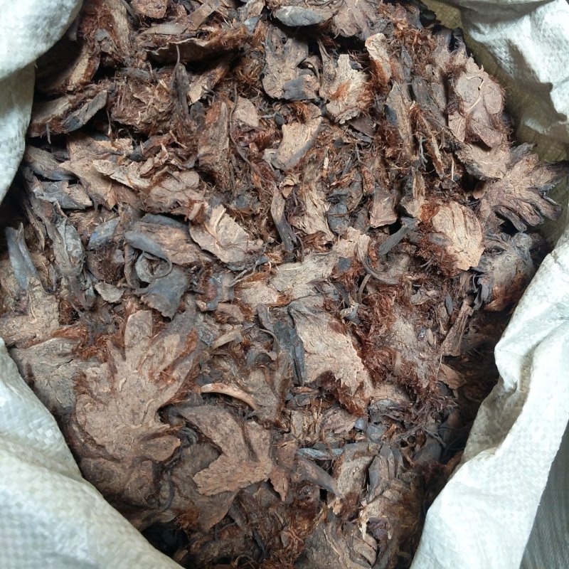 振兴药材批发供应贯众规格齐全产地直供一手货源全国发货