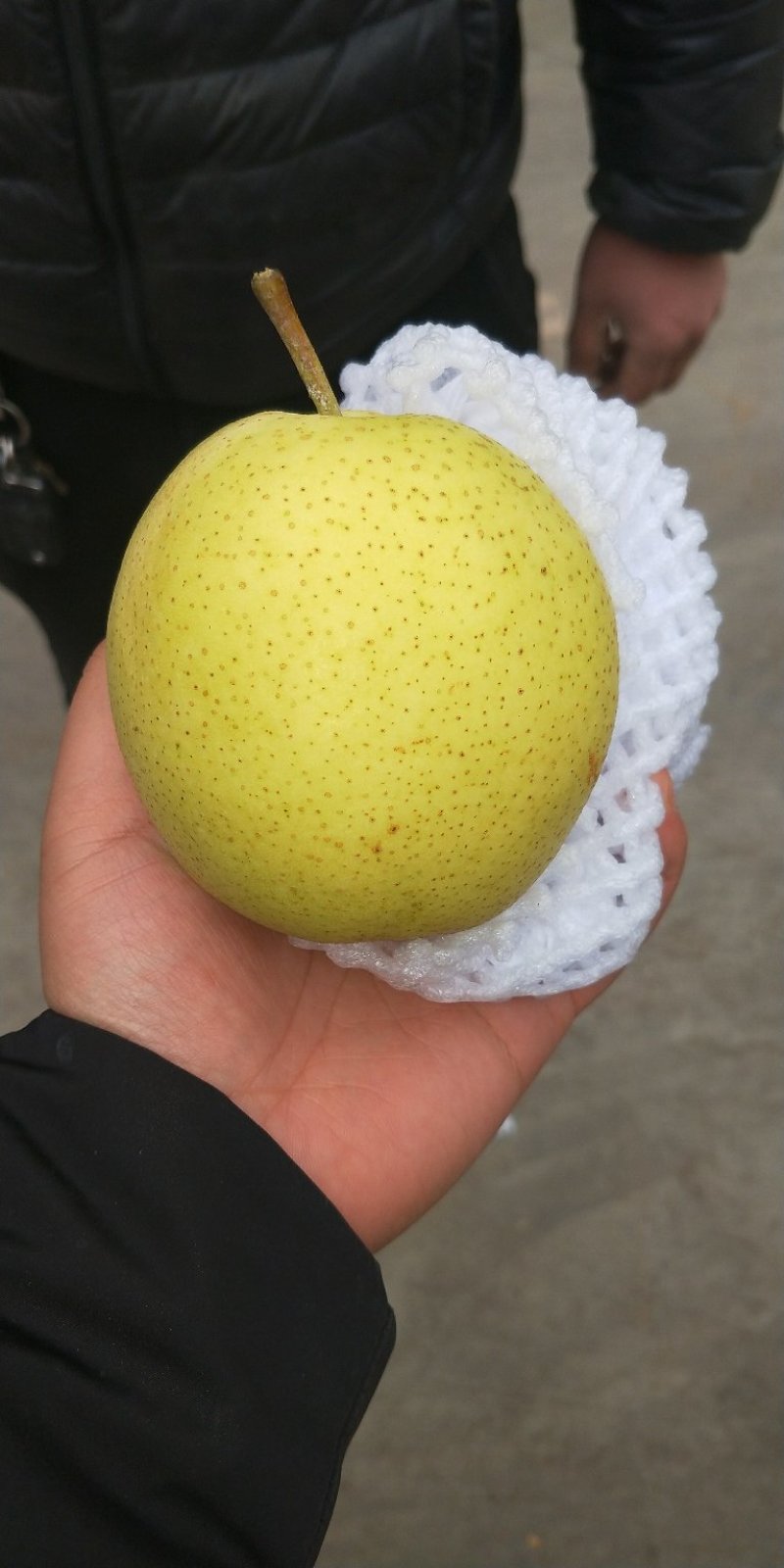 〔雪花梨〕货源充足质优价廉【视频看货】代发全国
