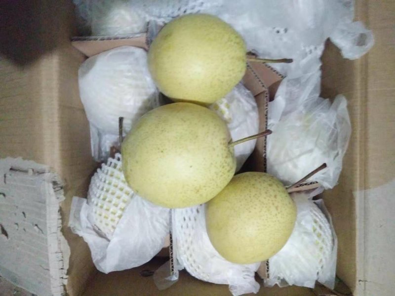 〔雪花梨〕货源充足质优价廉【视频看货】代发全国