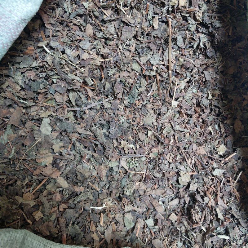 振兴药材批发供应鱼腥草规格齐全产地直供一手货源全国发货