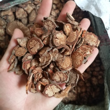 振兴药材批发供应鸡血藤规格齐全产地直供一手货源全国发货