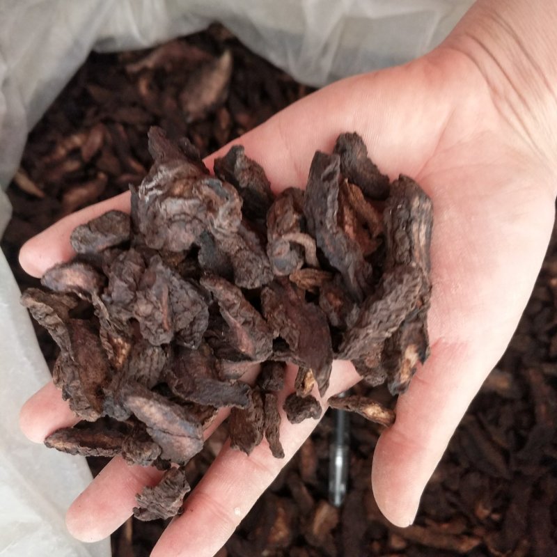 振兴药材批发供应生地黄规格齐全产地直供一手货源全国发货