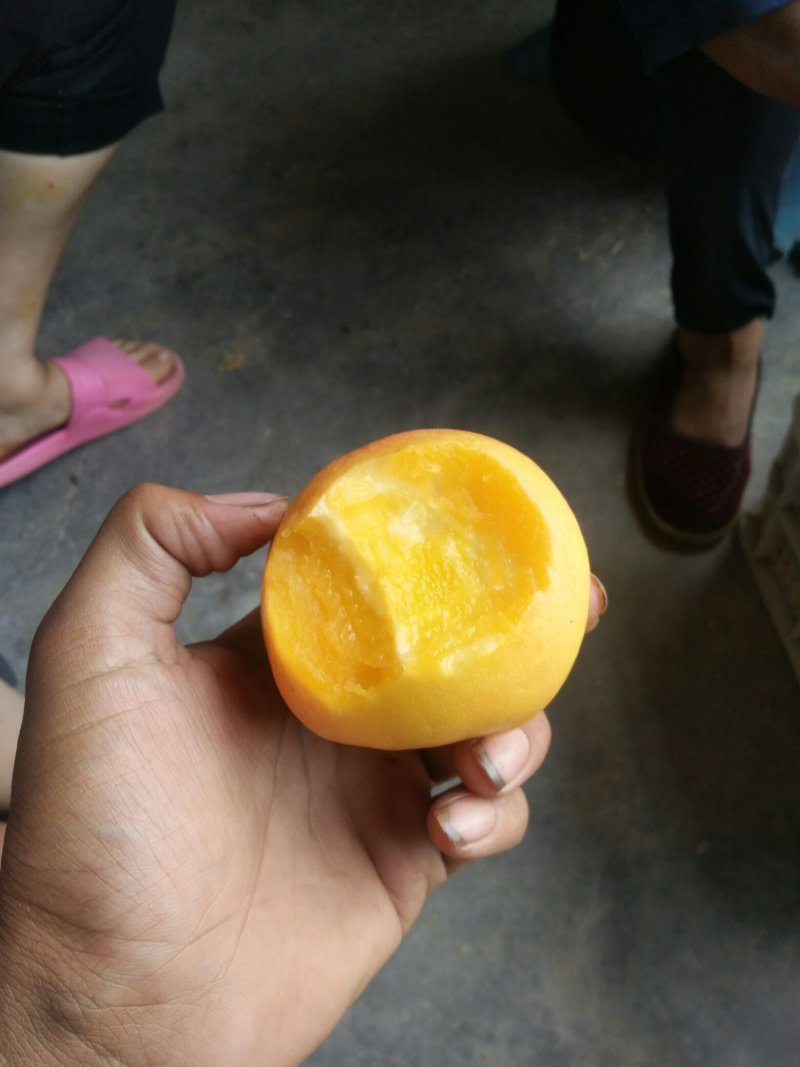 黄油桃