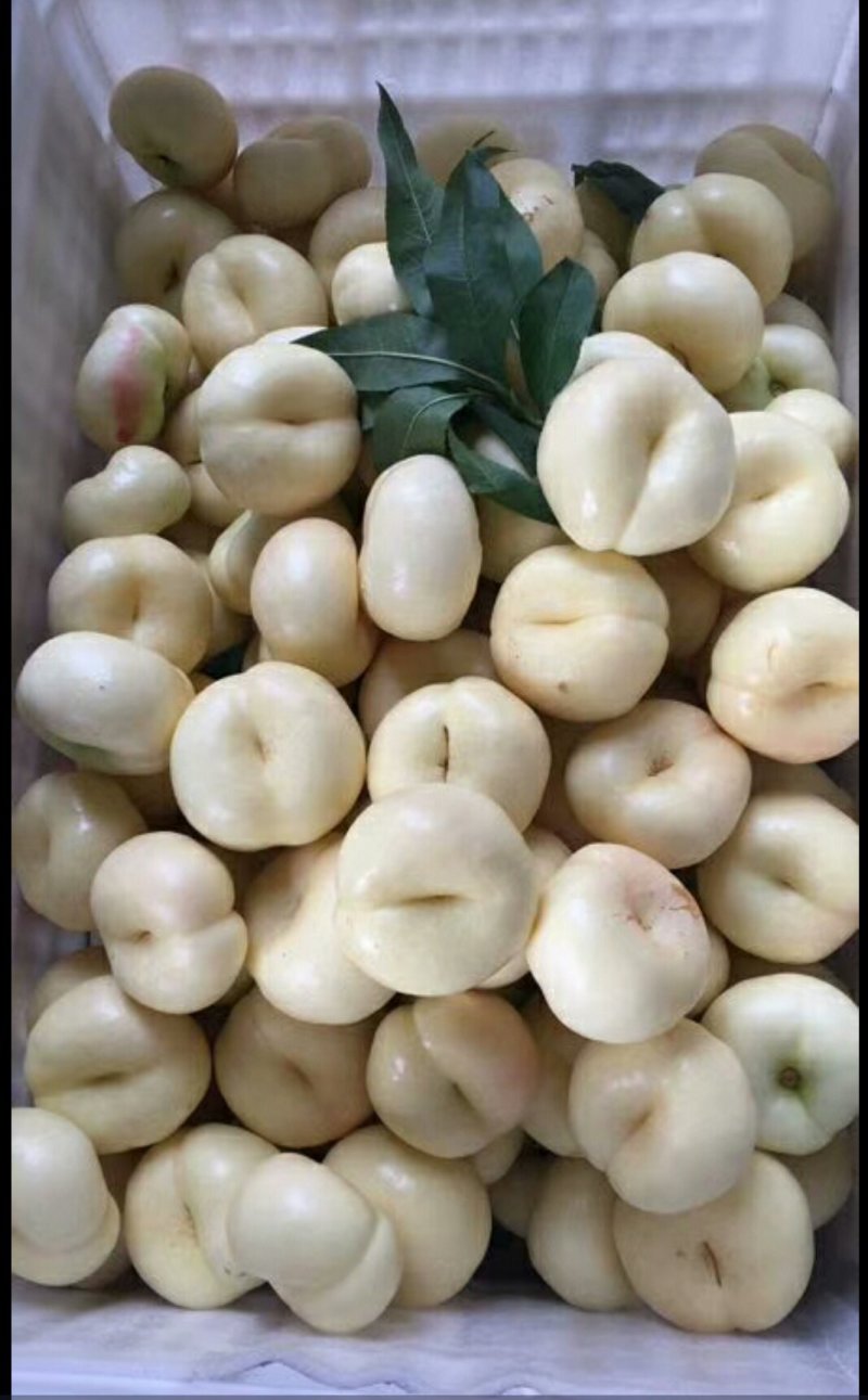 奶油蟠桃