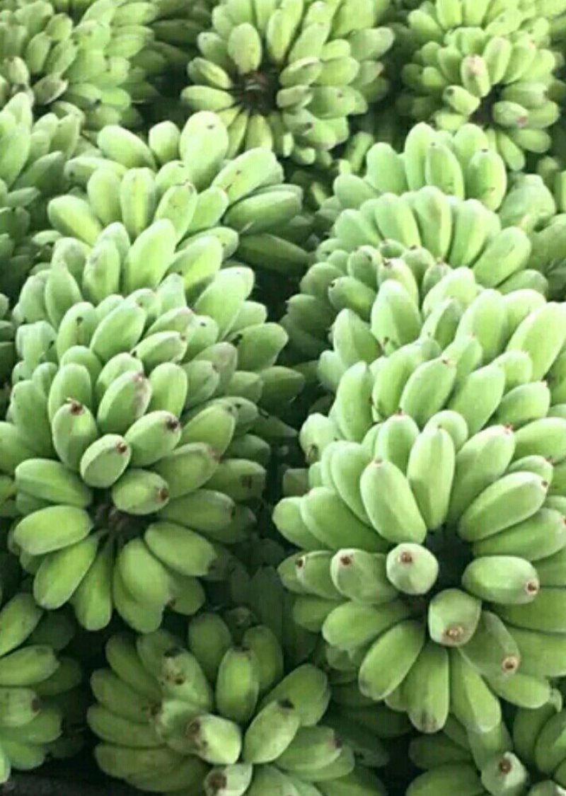 苹果蕉