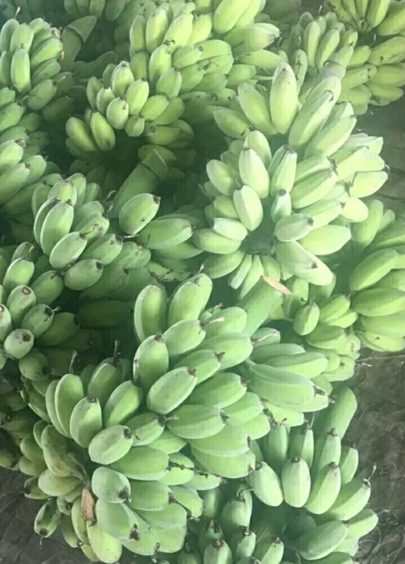 苹果蕉