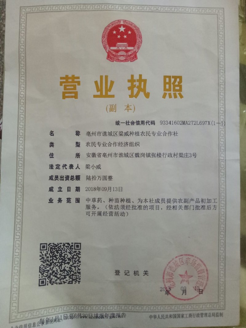 亳州市卫岗附近地产中药材玄参个子玄参片