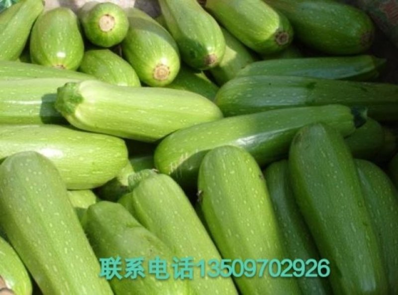 漂亮地豆，块一左右