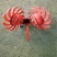 播种机配件拔草轮总成农机具农业机械播种机配件种植机械