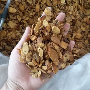 振兴药材批发供应制黄芪规格齐全产地直供一手货源全国发货