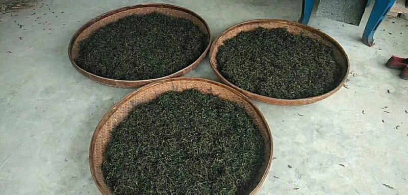 凤凰单枞茶