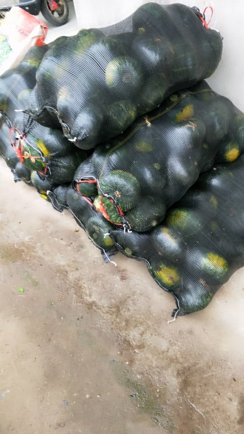 小南瓜江苏南瓜板栗南瓜基地大量批发全国发货