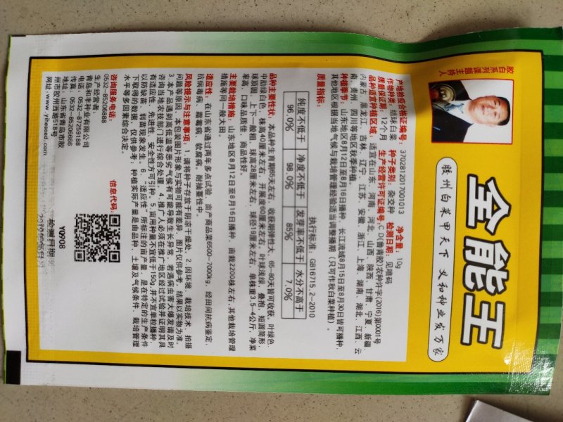 大白菜种子早熟大白菜春秋播全能王大白菜种子