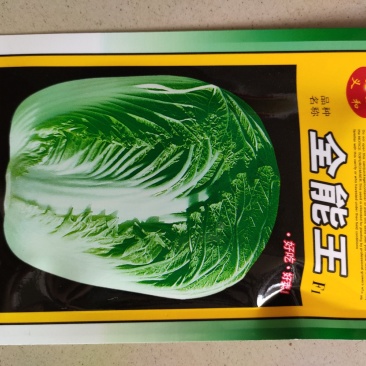 大白菜种子早熟大白菜春秋播全能王大白菜种子