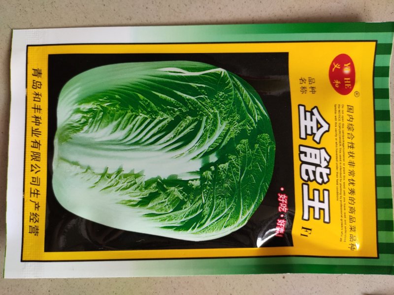 大白菜种子早熟大白菜春秋播全能王大白菜种子