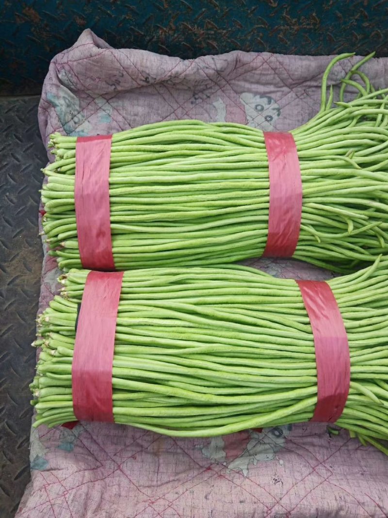 精品蔬菜新鲜蔬菜长豆角