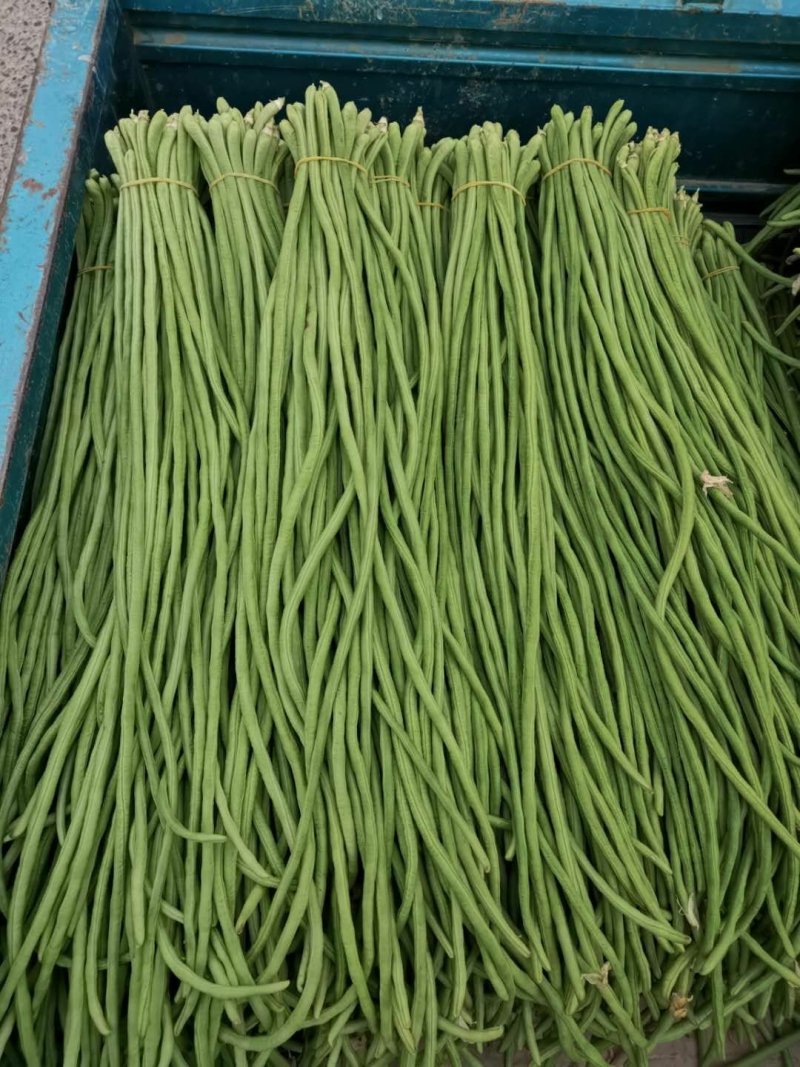 精品蔬菜新鲜蔬菜长豆角