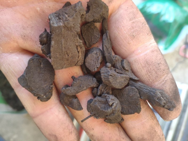 地榆碳碳化地榆令售各种炮制药材代抓药方