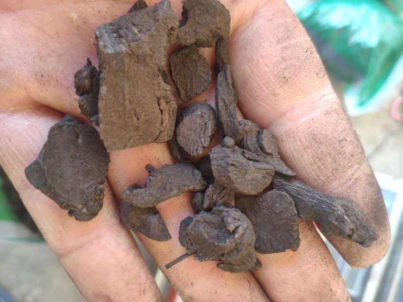 地榆碳碳化地榆令售各种炮制药材代抓药方