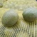 赞皇青皮核桃。品种有，辽一，辽四，辽七，辽八，青香，里品