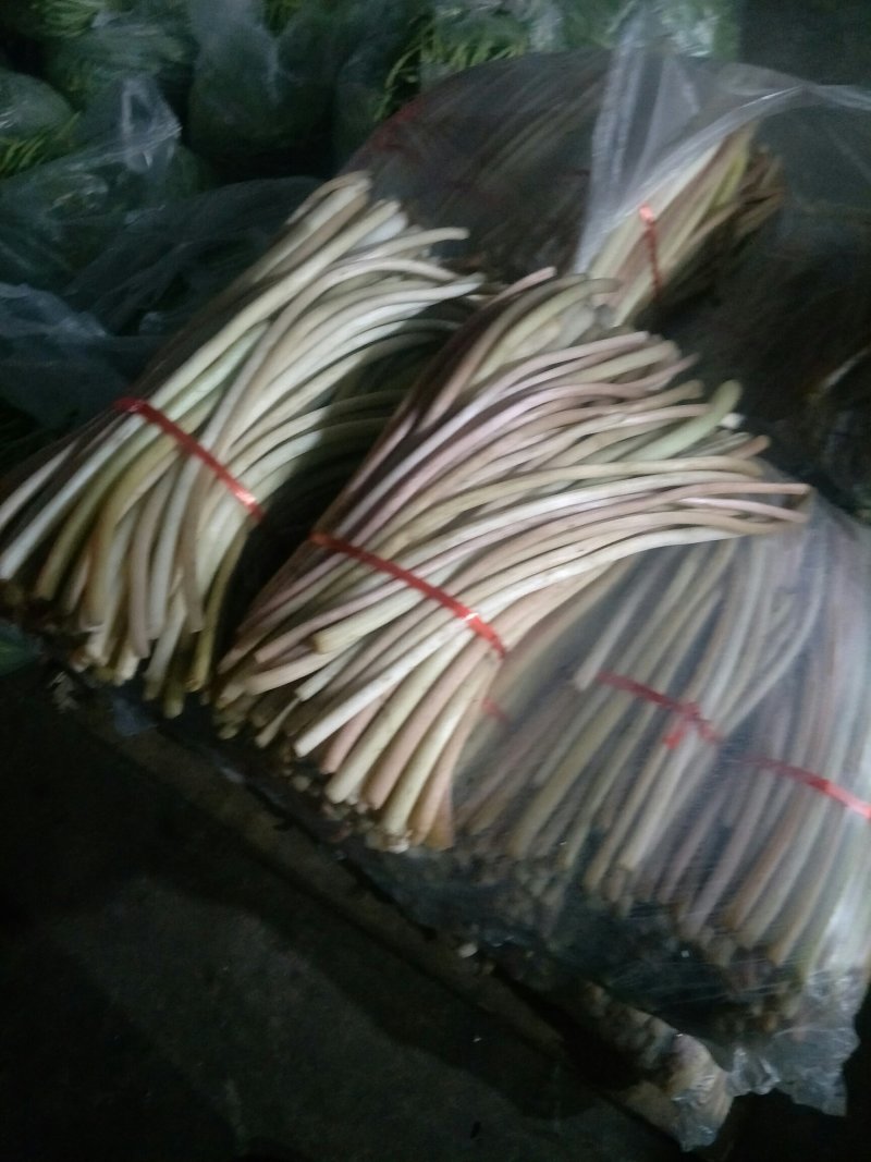芡实杆精品新鲜，鸡头梗量大优惠产地直销一手货源