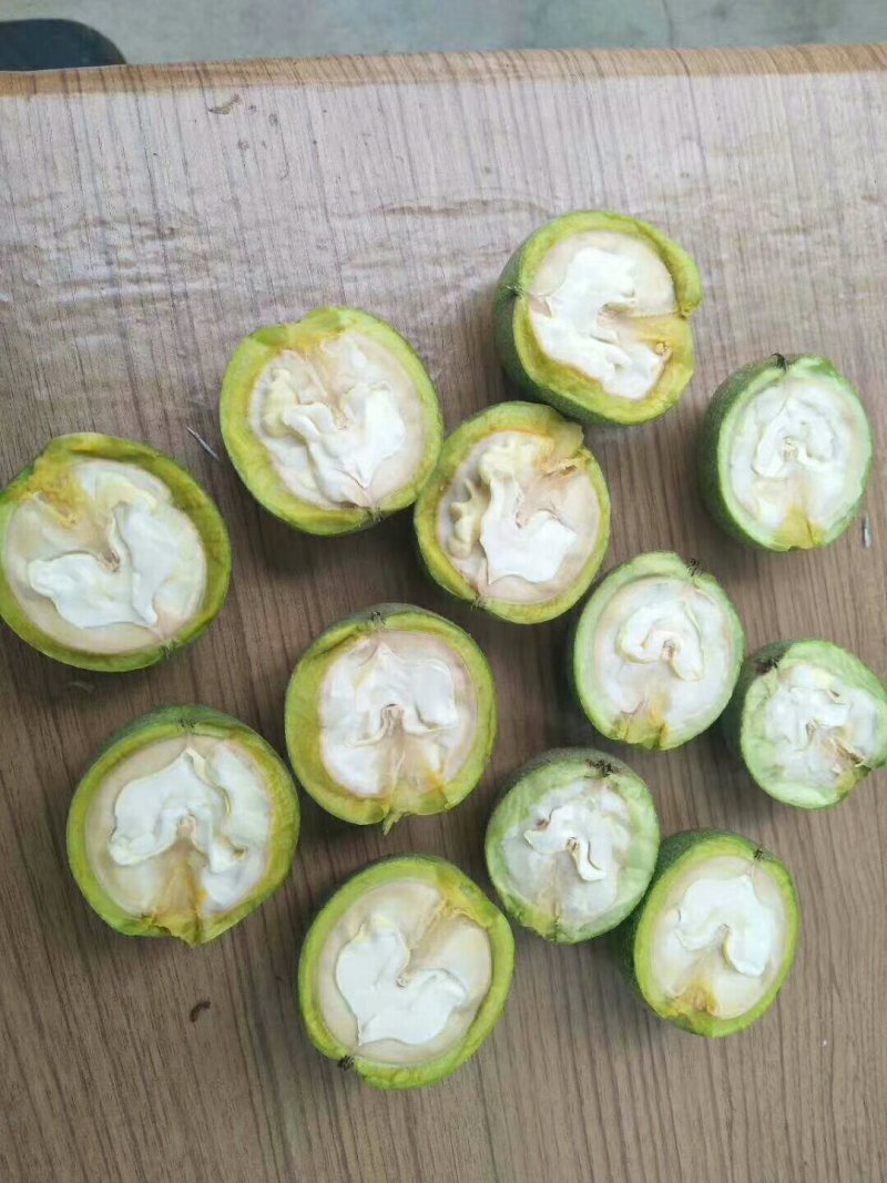 赞皇县辽系青皮核桃大量供应，各种规格按需分拣，质量保证