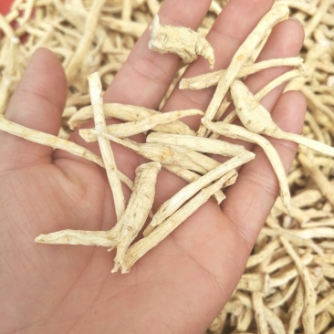 长白山花旗参粗腿西洋参西洋参丁(包邮)可免费打粉