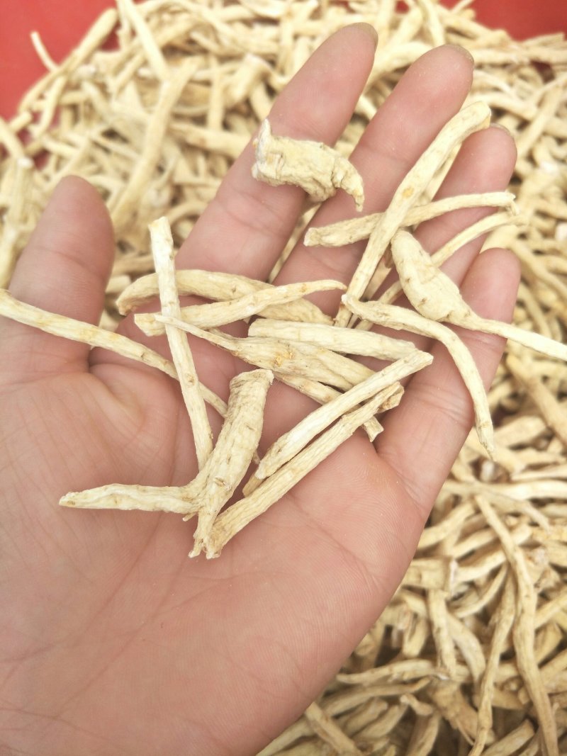 长白山花旗参粗腿西洋参西洋参丁(包邮)可免费打粉