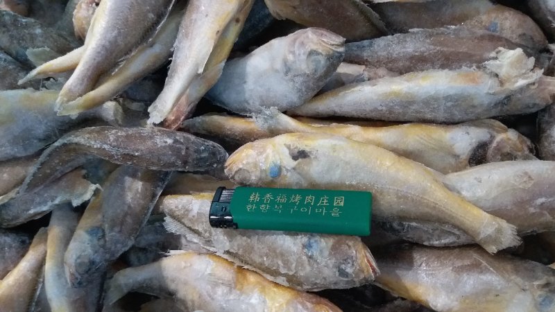 单冻黄花鱼
