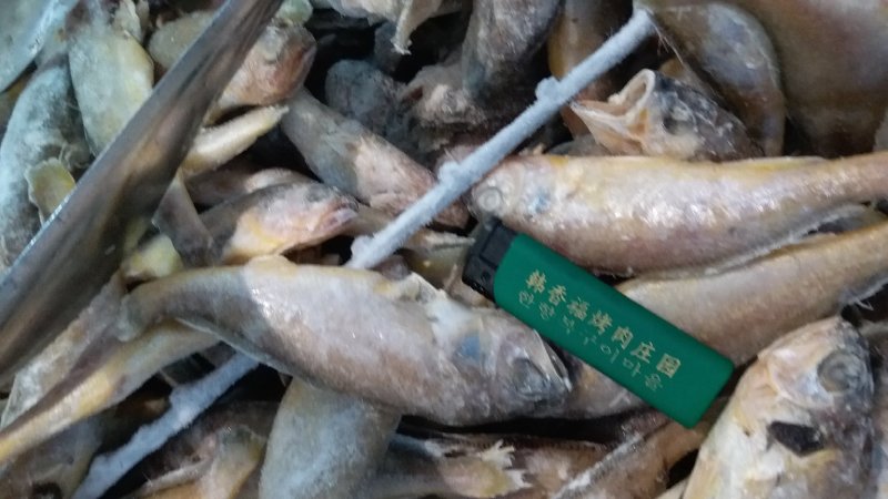 单冻黄花鱼