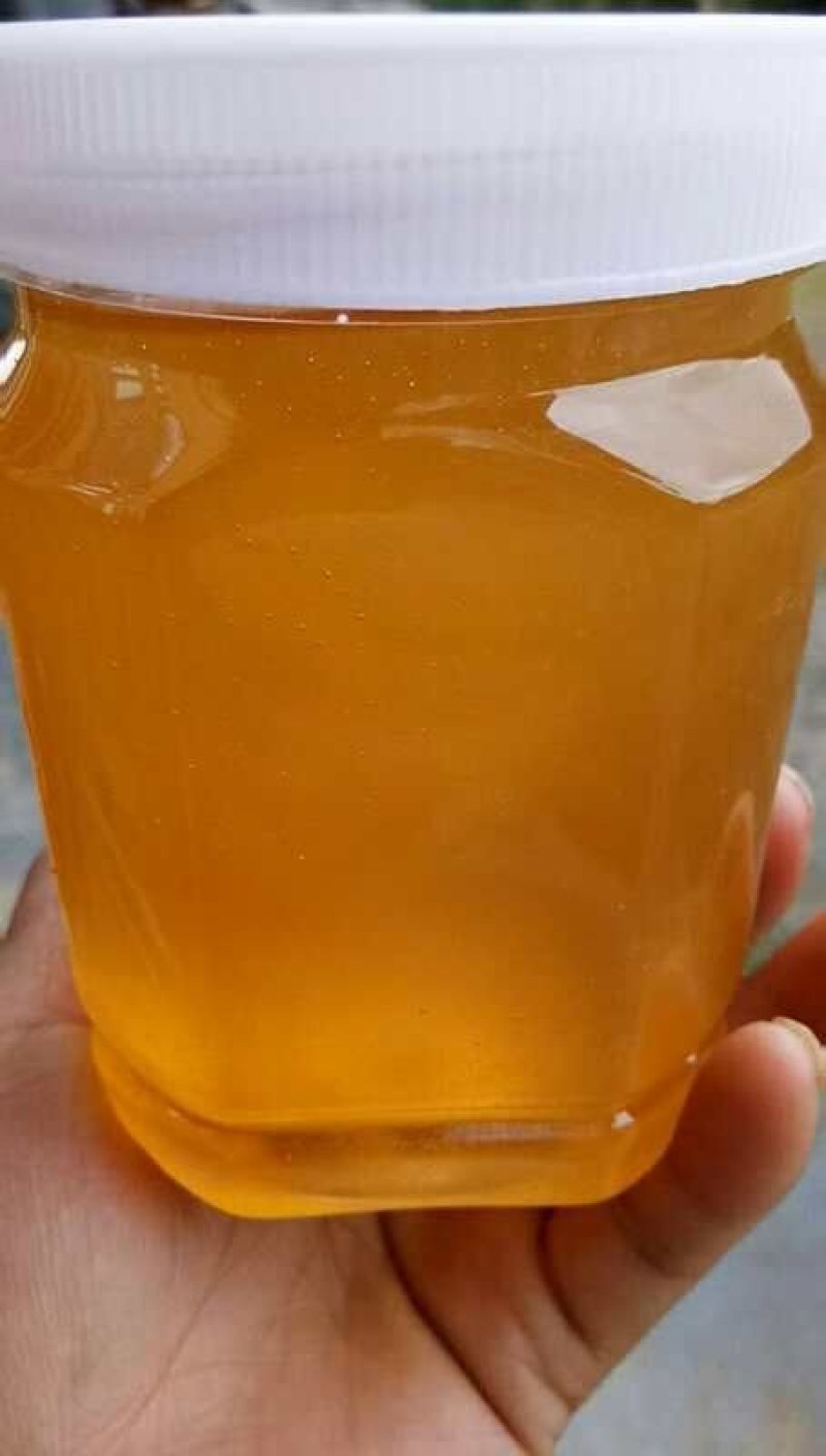 纯天然自产自销百花蜜土蜂蜜76一斤